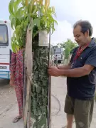 Cancer Survivor Kalidas Saha Plants Hope and Teaches English in Dhubri