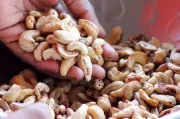 Cashew Prices Soar to Record Highs in Srikakulam, Industry Relies on Imports