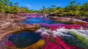 Caño Cristales: Colombia's Liquid Rainbow River Reveals Its Seasonal Magic
