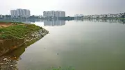 Chandapura Lake Pollution Crisis Persists Through 2025 in Bengaluru