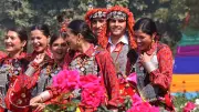 Chandigarh MC Invites Bids for Rose Festival Stalls with Strict Green Rules