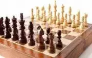Chennai MLA Checkmated in Four Moves by Class VI Student During Chess Initiative Launch