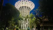 Chennai's First Musical Supertree Tower to Open Soon at Kalaignar Park
