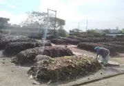 Chennai's Waste Revolution: 3 New Composting Plants to Divert 30% Wet Waste from Landfills