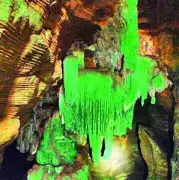 Chhattisgarh's Green Cave Debate: Conservation vs. Access in Bastar's Fragile Ecosystem