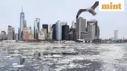 Climate Change's Economic Toll: Extreme Weather Costs Billions Annually