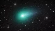 Comet 41P Reverses Spin in Rare Solar System Event, Astronomers Report