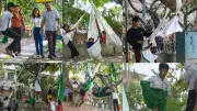 Delhi's Lodhi Road 'Jhula Ped' Tree Becomes Playground for Local Children