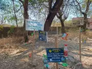 Dharmasthala Pilgrimage Route Gets Eco-Friendly Waste Collection for Mahashivratri