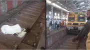 Drunk Man Halts Trains at Mumbai's CSMT Station by Sleeping on Railway Track