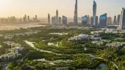 Dubai Adopts Sponge City Model with Shenzhen Partnership for Climate Resilience