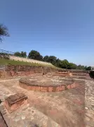 Echoes of a Shared Past: Uncovering Historical Connections