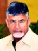 ED Clears Andhra CM Naidu in APSSDC Siemens Project Money Laundering Case