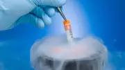 Egg Freezing in India: Navigating Clinic Transfers and Legal Framework