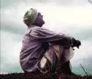 Elephant Herd Camps Near Belagavi Village After Calf Birth, Damages Crops