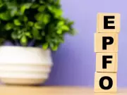 EPFO Eyes Higher Returns, May Form Committee to Revise Investment Strategy