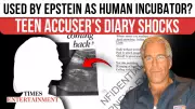 Epstein Files: Teen Accuser's Diary Alleges Forced Pregnancy as Human Incubator
