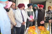 Expert at Ludhiana Seminar: Scientific Solutions Needed for Global Food Security