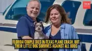 Florida Couple Dies in Texas Plane Crash, Their Dog Survives as a Miracle
