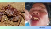 Food Influencer Dies After Eating Toxic 'Devil Crabs' in Philippines Mangroves