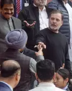 Former DSGMC Chief Accuses Delhi Gurdwaras Under Siege, Meets Rahul Gandhi