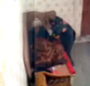 Ghaziabad Man Arrested for Assaulting Elderly Mother, Caught on CCTV