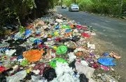 Goa Village Imposes Annual Garbage Fee, Addresses Stray Dogs and Pollution