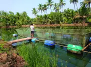 Goa Women Lead Blue Revolution with River Cage Fish Farming Under PMMSY
