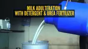 Gujarat Factory Busted for Making Synthetic Milk with Detergent and Urea