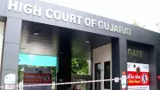 Gujarat HC Grants Interim Relief to Morbi Professor in Service Record Tampering Case