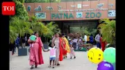 H5N1 Avian Flu Confirmed in Patna: Zoo Closed, Poultry Culled