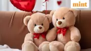 Happy Teddy Day 2026: 50+ Heartwarming Wishes for Valentine's Week