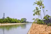 Haryana's Rs 5,700-Crore World Bank Water Project Gains Momentum with DPR Work