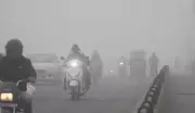 Indore Fog & Hailstorms Hit MP: Weather Fluctuations Cause Crop Damage