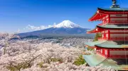 Japan Cancels Mount Fuji Cherry Blossom Festival Over Tourist Misconduct