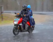 Jharkhand Poll Day Alert: IMD Predicts Light Rain in Isolated Areas on Monday