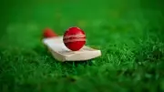 Karnataka's Cricket Team Falls Short in Quarter-Finals, Ending Season