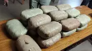 Kerala Police Seize 3,418 Kg of Ganja in Major Kozhikode Drug Bust