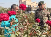 Kolkata Rose Breeder Unveils 'Operation Sindoor' Variety as Tribute to Armed Forces