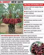 Kutch's Sona-100 Date Palm: A Climate-Resilient Breakthrough for Farmers