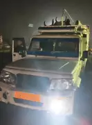 Late-Night Police Operation in Phagwara Intercepts Vehicles Transporting Cattle