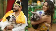 Laughter Chefs Jungle Special: Wild Cooking Chaos with Pets and Pranks