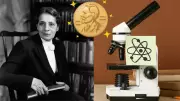 Lise Meitner: The Overlooked Pioneer of Nuclear Fission and Her Nobel Controversy