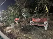 Ludhiana's Buddha Dariya Green Belt Now a Neglected, Eerie Wasteland