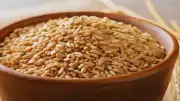 Madhya Pradesh Man Arrested After 45 Years for Wheat Theft Worth Rs 100