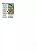 Maharashtra Grape Harvest Plummets 40-45% After Prolonged Monsoon Disrupts Vine Growth