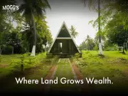 Managed Farmland in Karnataka: The New Smart Asset Class for Investors