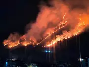 Massive Forest Fire Engulfs Kullu's Bijli Mahadev Area, Threatens Sacred Site