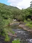 Melghat Tiger Reserve Marks 52 Years with 72 Tigers, 33 Cubs in 2024 Census