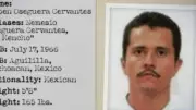 Mexican Drug Lord El Mencho Killed in Military Operation, Cartel Retaliates